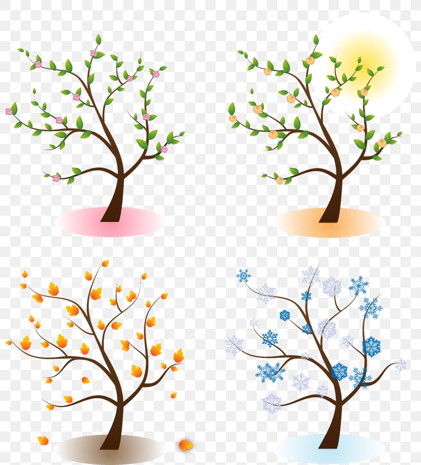 Four Seasons Hotels And Resorts Tree Clip Art, PNG, 800x905px, Four Seasons Hotels And Resorts, Autumn, Blossom, Branch, Flora Download Free