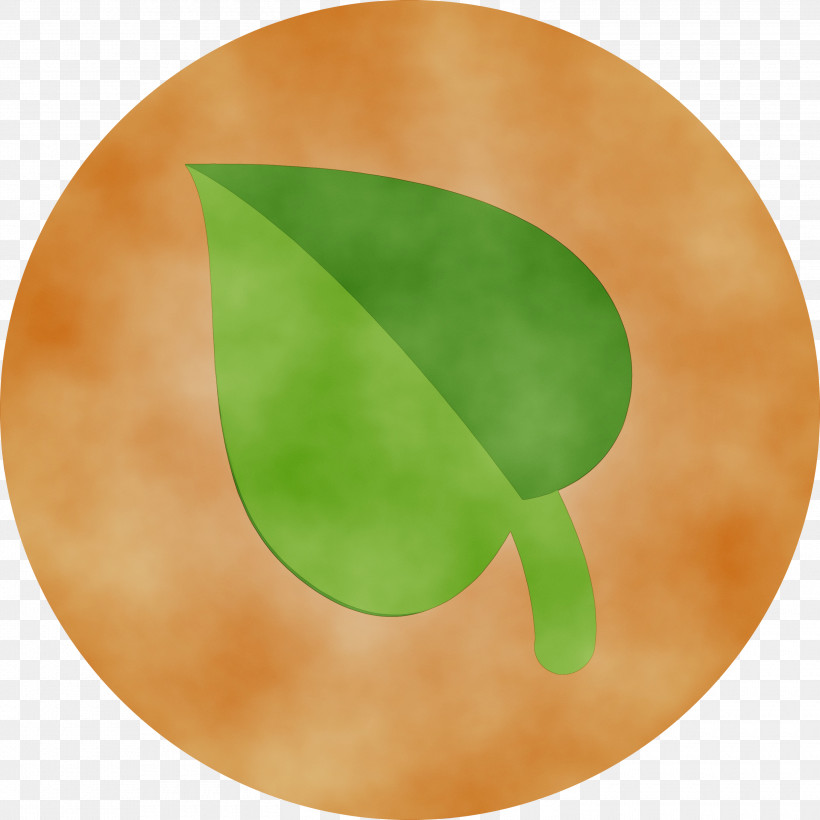 Green Leaf Plate Circle Plant, PNG, 3000x3000px, Organic Food, Circle, Green, Leaf, Paint Download Free