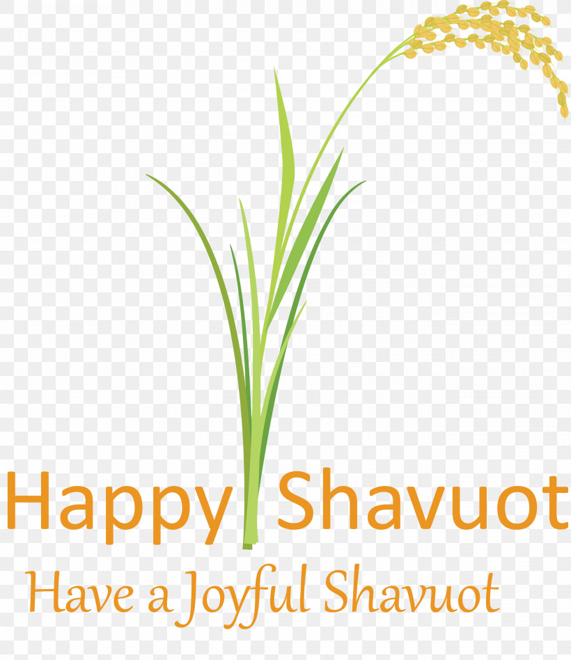 Happy Shavuot Shavuot Shovuos, PNG, 2641x3054px, Happy Shavuot, Flower, Grass, Grass Family, Leaf Download Free