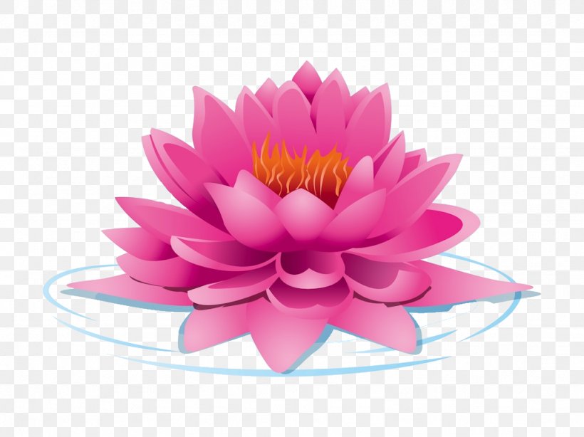 Nelumbo Nucifera Lotus Cars Clip Art, PNG, 1024x767px, Nelumbo Nucifera, Aquatic Plant, Chrysanths, Dahlia, Daisy Family Download Free