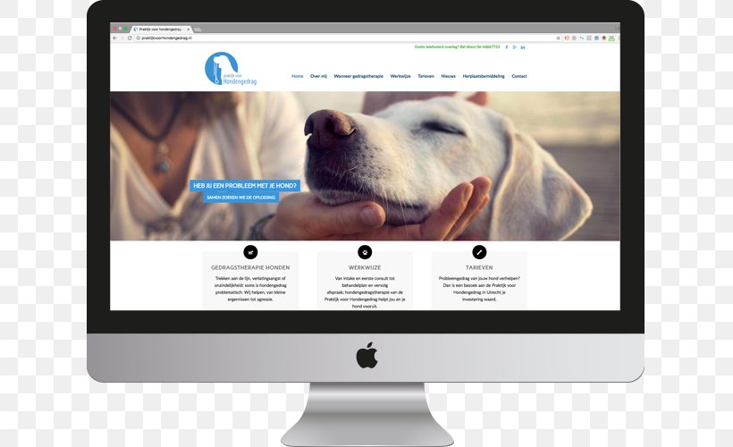 Wohlfühlfaktoren: Hundeernährung, Pflege, Alltagstipps Web Design Web Page, PNG, 770x500px, Web Design, Brand, Bridge Loan, Content, Display Advertising Download Free