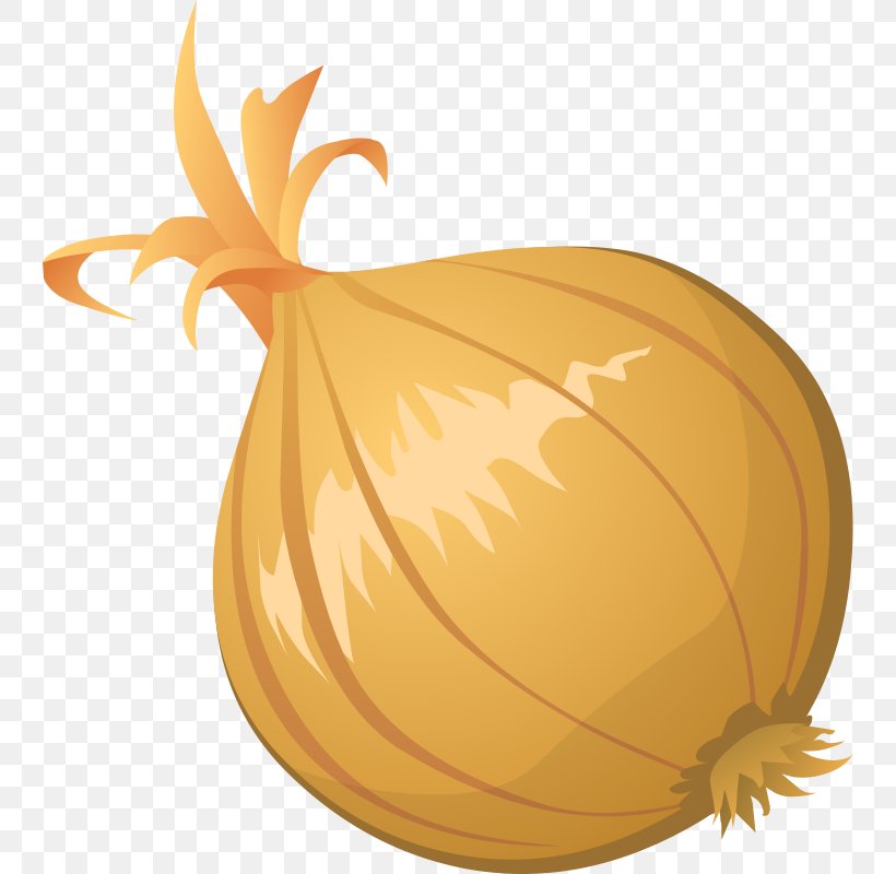 Onions Cliparts - Free Content Blooming Onion Clip Art PNG