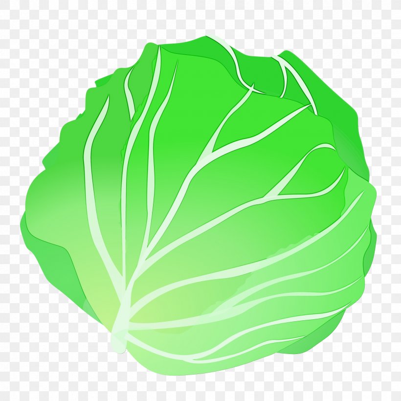 Green Leaf Watercolor, PNG, 2400x2400px, Watercolor, Cabbage, Flower, Food, Green Download Free