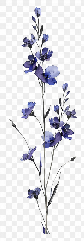 Larkspur - Elegant Blue Wildflower Illustration PNG