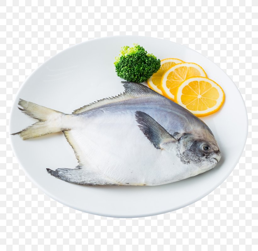 Pampus Argenteus Black Pomfret Fish Seafood, PNG, 800x800px, Pampus Argenteus, Animal Source Foods, Auglis, Black Pomfret, Coconut Download Free