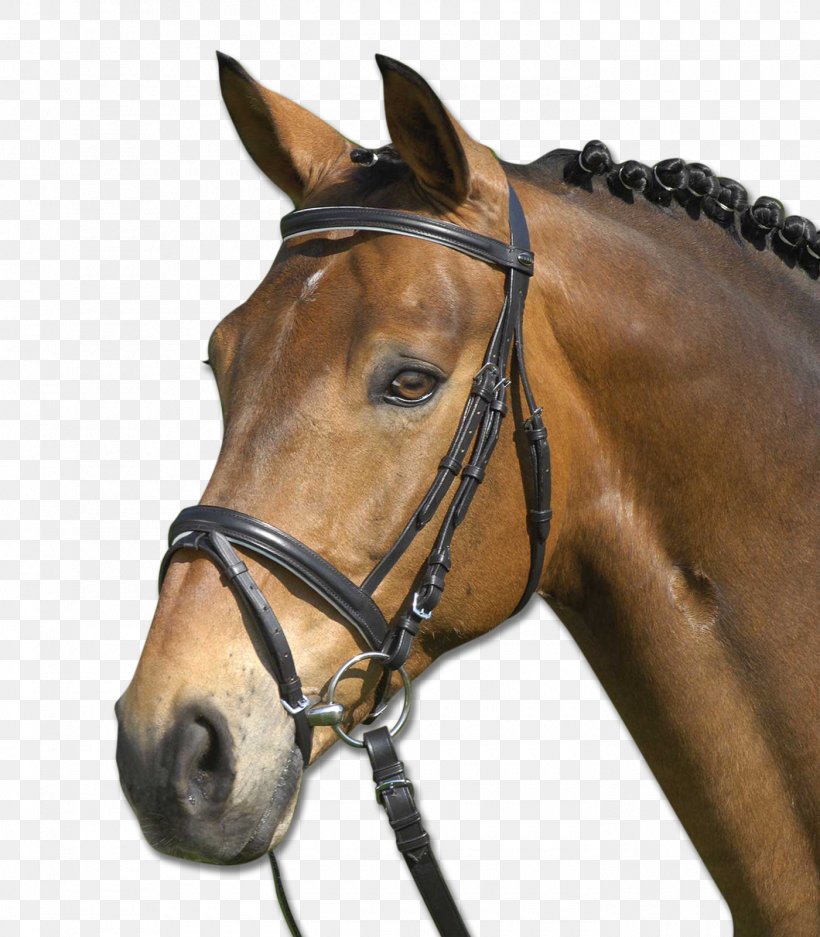 Cob Pony Bridle Horse Tack Equestrian, PNG, 1400x1600px, Cob, Bit, Bridle, Equestrian, Halter Download Free
