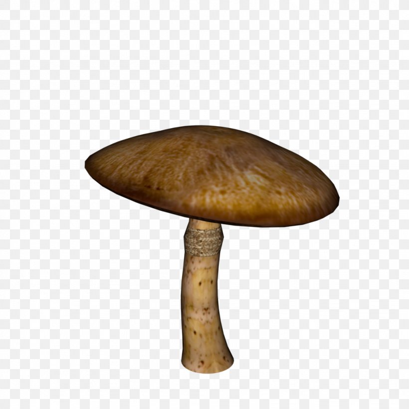 Mushroom, PNG, 1024x1024px, Mushroom, Table, Wood Download Free