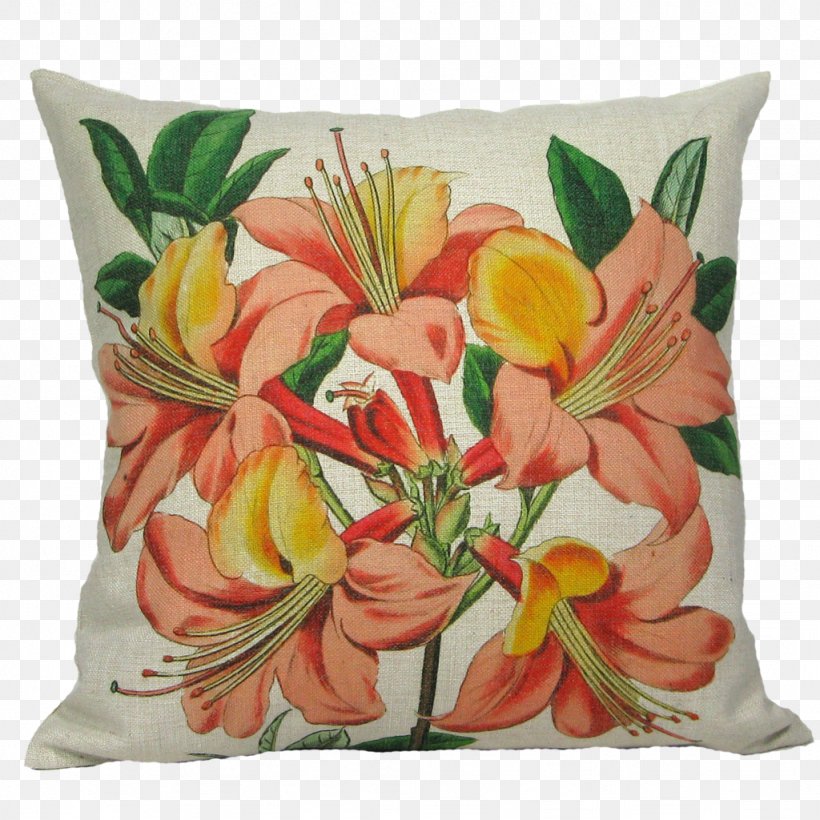 Throw Pillows Picture Frames Cut Flowers, PNG, 1024x1024px, Pillow, Amaryllis, Cushion, Cut Flowers, Decorative Arts Download Free