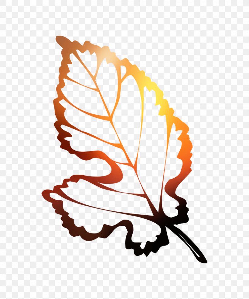 Illustration Autumn Coloring Book Leaf, PNG, 1500x1800px, Autumn, Autumn Leaf Color, Color, Coloring Book, Leaf Download Free