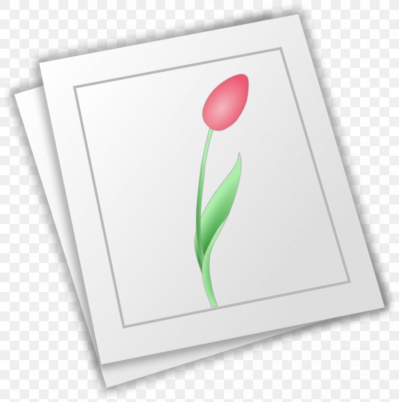 Paper Drawing Flower, PNG, 1190x1200px, Paper, Drawing, Flower, Flowering Plant, Green Download Free