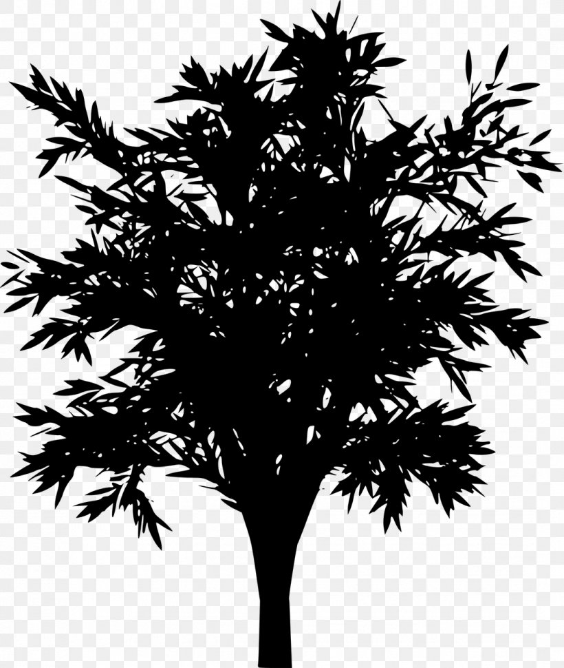 Choppi Bird Drawing Tree, PNG, 1082x1280px, Choppi Bird, Arecales, Black And White, Borassus Flabellifer, Branch Download Free