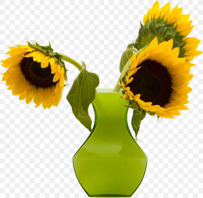 Common Sunflower Vase, PNG, 1200x1172px, Common Sunflower, Avatar, Computer Software, Cut Flowers, Daisy Family Download Free