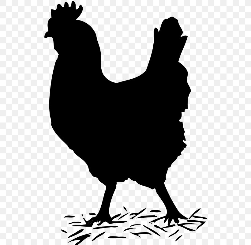 Chicken Clip Art Vector Graphics Openclipart, PNG, 535x800px, Chicken, Beak, Bird, Blackandwhite, Food Download Free