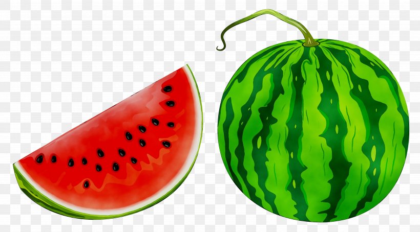 Clip Art Fruit Illustration Watermelon, PNG, 6620x3672px, Fruit, Accessory Fruit, Citrullus, Cucumber Gourd And Melon Family, Food Download Free