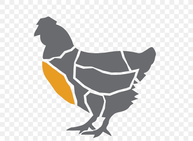 Rooster Cochin Chicken Cornish Chicken Pekin Chicken Marans, PNG, 601x601px, Rooster, Art, Beak, Bird, Black And White Download Free
