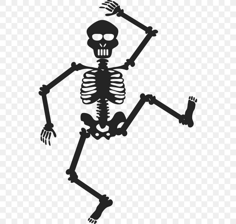 Skeleton Clip Art, PNG, 551x779px, Skeleton, Animation, Black And White, Fotosearch, Human Skeleton Download Free