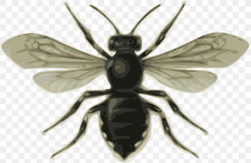 Honey Bee Clip Art, PNG, 2400x1560px, Bee, Art, Arthropod, Fly, Honey Download Free