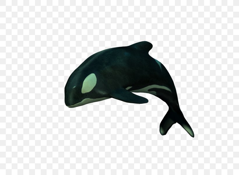 PhotoScape Adobe Photoshop GIMP Oceanic Dolphin, PNG, 800x600px, Photoscape, Animal, Black, Black M, Blog Download Free