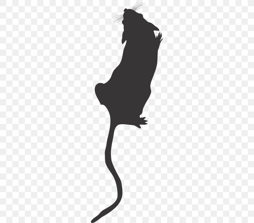 Cat Mouse Rat Rodent Clip Art, PNG, 360x720px, Cat, Animal, Big Cats, Black, Black And White Download Free