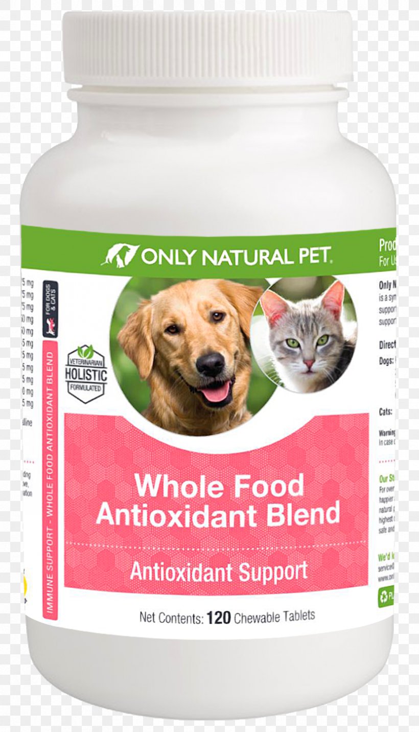 Dog Food Dietary Supplement Cat Pet, PNG, 831x1452px, Dog, Cat, Cat Food, Dietary Supplement, Dog Biscuit Download Free