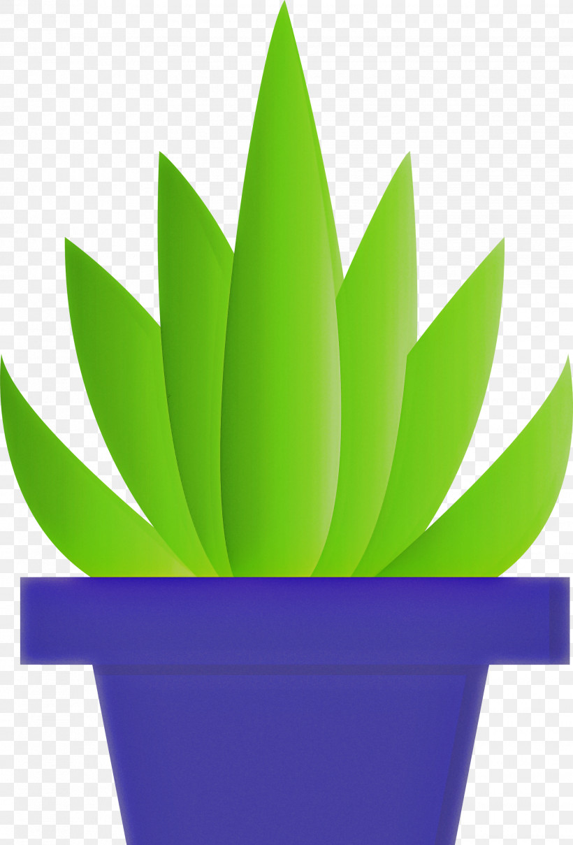 Flowerpot Green Leaf Houseplant Plant, PNG, 2034x3000px, Flowerpot, Agave, Aloe, Flower, Green Download Free