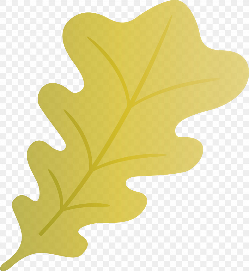 Oak Leaf, PNG, 2750x3000px, Oak Leaf, Almond, Biology, Flower, Heart Download Free