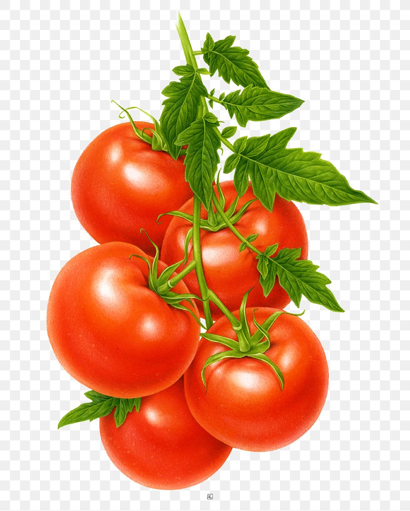 Tomato Juice Cherry Tomato Fruit Vegetable, PNG, 728x1021px, Juice, Bush Tomato, Cherry Tomato, Diet Food, Food Download Free