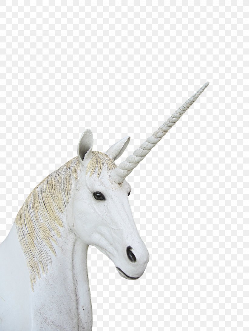 Unicorn Neck, PNG, 960x1280px, Unicorn, Fictional Character, Horn, Mythical Creature, Neck Download Free