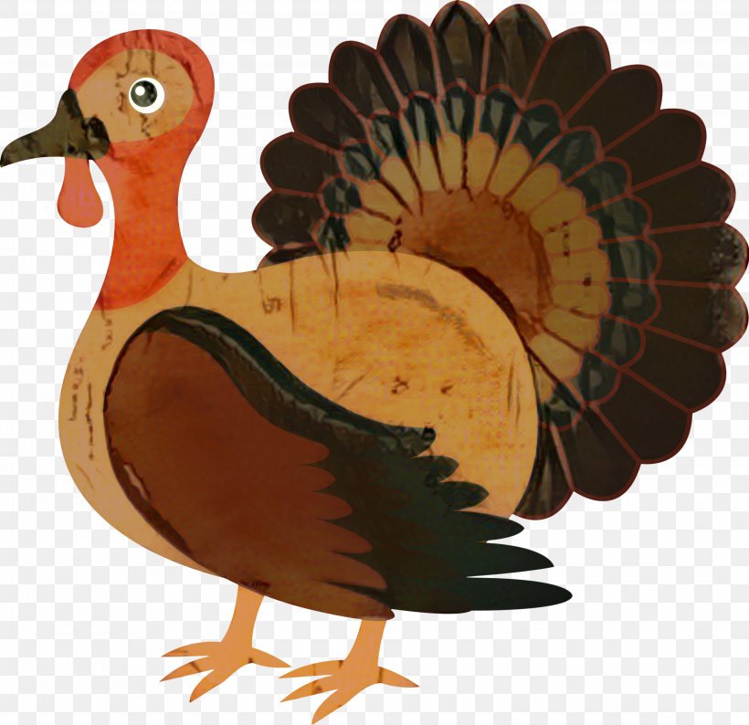 Clip Art Turkey Meat Thanksgiving Vector Graphics, PNG, 2996x2902px, Turkey Meat, Beak, Bird, Cartoon, Flightless Bird Download Free