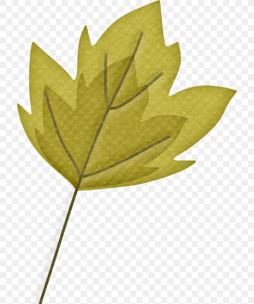 Clip Art Vector Graphics Leaf, PNG, 711x983px, Leaf, Autumn, Black Maple, Botany, Deciduous Download Free