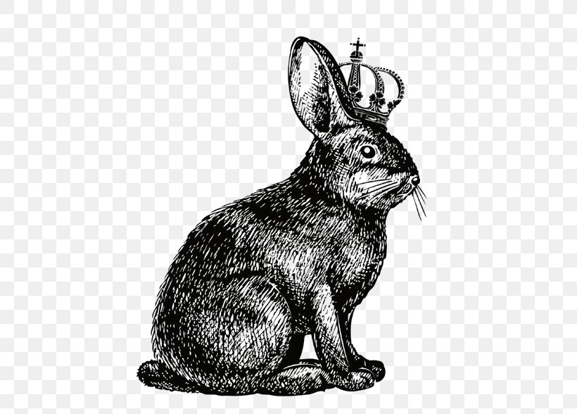 Hare Rabbit Show Jumping Drawing, PNG, 519x588px, Hare, Art, Black And White, Cottontail Rabbit, Domestic Rabbit Download Free