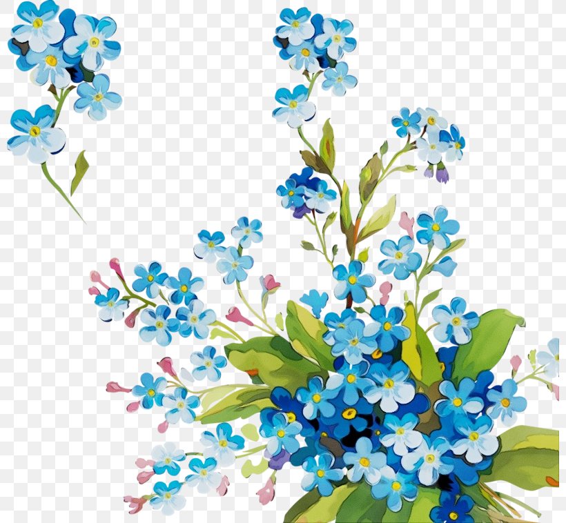 Alpine Forget-me-not Forget-me-not Flower Blue Plant, PNG, 800x758px, Watercolor, Alpine Forgetmenot, Blue, Branch, Cut Flowers Download Free