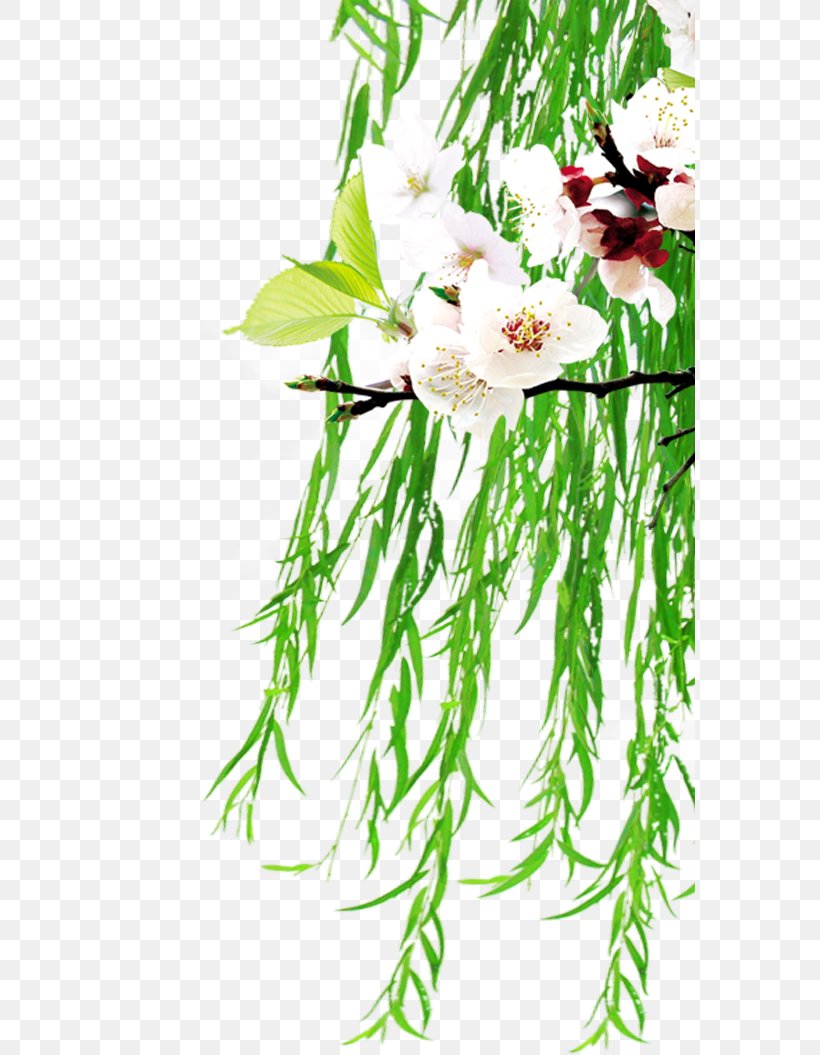 Floral Design Clip Art, PNG, 571x1055px, Floral Design, Art, Blossom, Branch, Cut Flowers Download Free