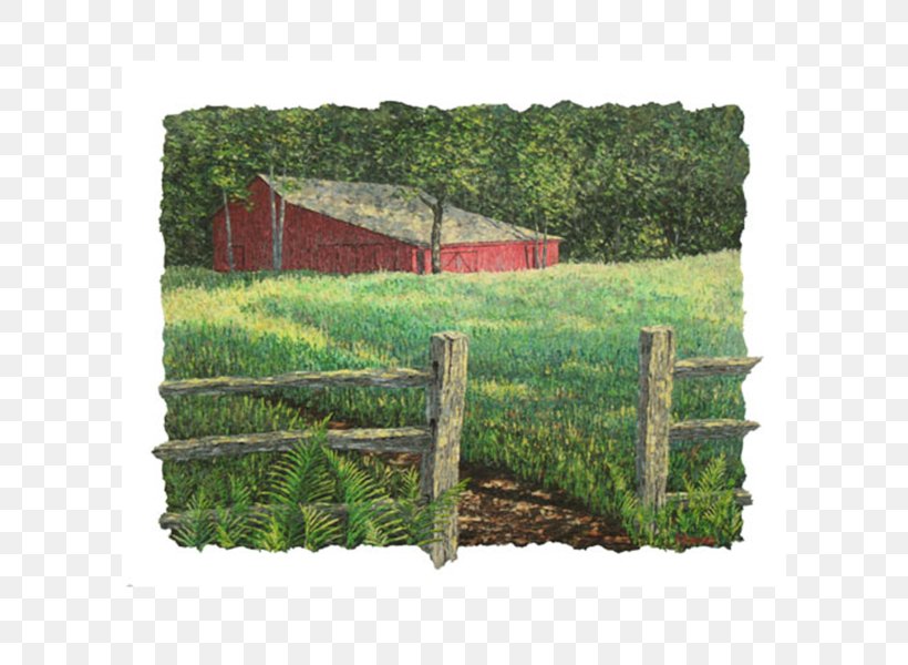 Picket Fence Land Lot Pasture Real Property, PNG, 600x600px, Picket Fence, Farm, Fence, Field, Grass Download Free