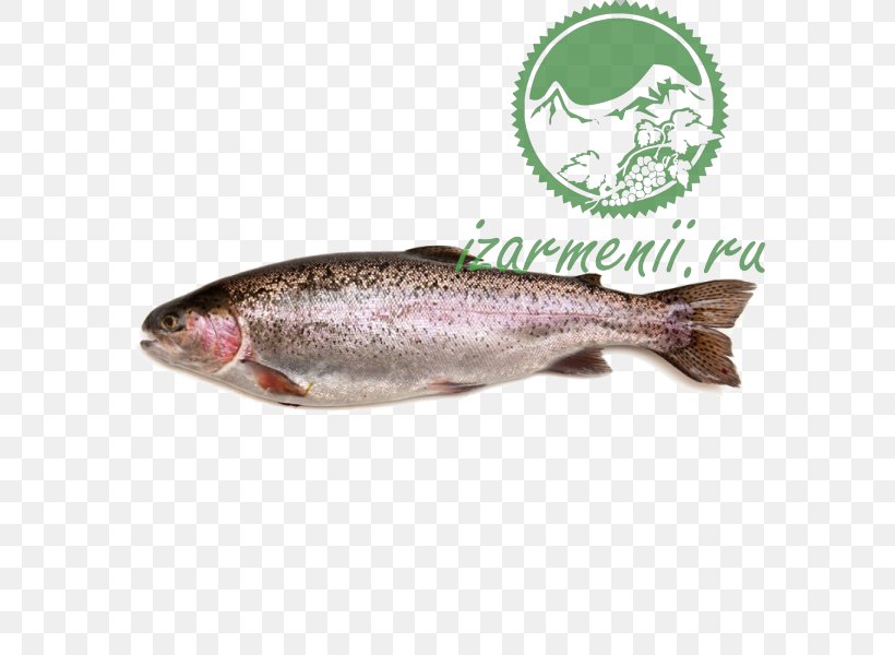 Rainbow Trout Fish Market Food, PNG, 600x600px, Rainbow Trout, Anchovy, Animal Source Foods, Bonito, Brown Trout Download Free