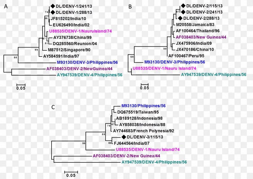 Strain Phylogenetics Dengue Virus Virology Mutation, PNG, 1514x1072px, Strain, Accession Number, Area, Dengue Virus, Diagram Download Free