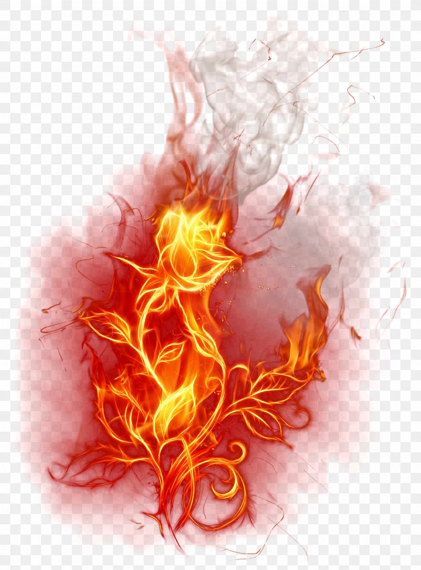 Flame Fire Combustion Wallpaper, PNG, 3400x4600px, Watercolor, Cartoon,  Flower, Frame, Heart Download Free