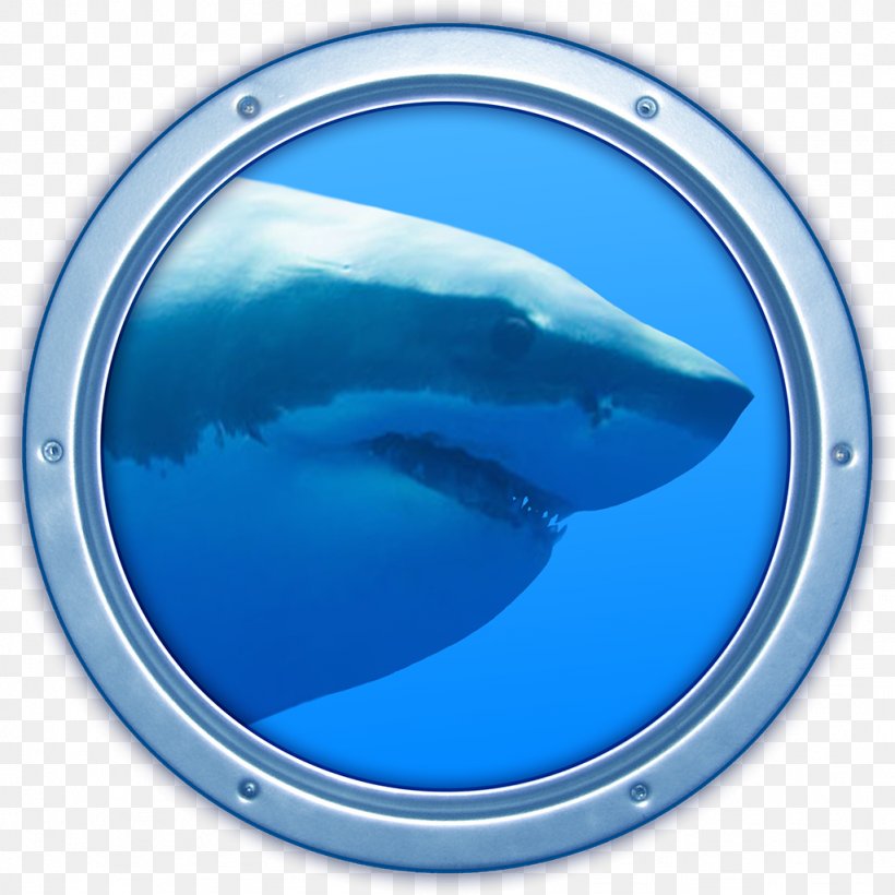 MacOS Computer Program Mac App Store Desktop Wallpaper, PNG, 1024x1024px, Macos, Aqua, Computer Program, Computer Software, Dolphin Download Free