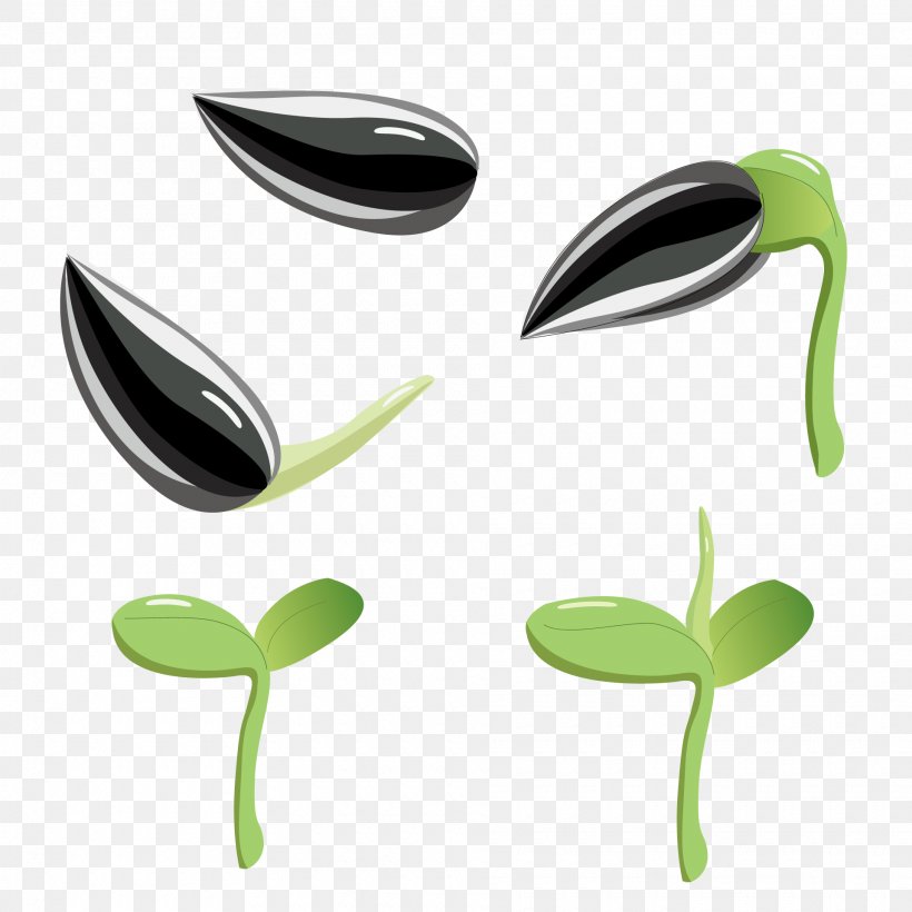 Seed Product Design Image, PNG, 1920x1920px, Seed, Botany, Cartoon, Designer, Germination Download Free