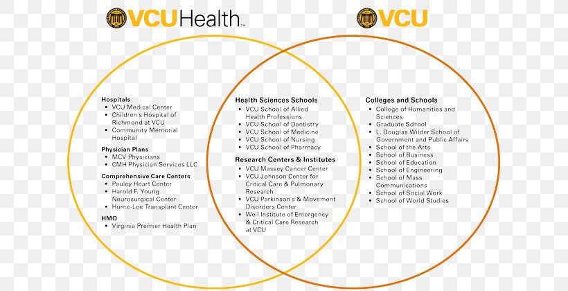 Virginia Commonwealth University Health Medicine Organization Virginia Commonwealth University School Of Nursing Hospital, PNG, 625x420px, Medicine, Area, Brand, Diagram, Hospital Download Free