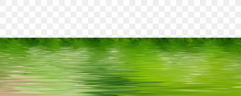 Water Resources Picture Frame Green Pattern, PNG, 1000x400px, Water Resources, Computer, Family, Flora, Grass Download Free