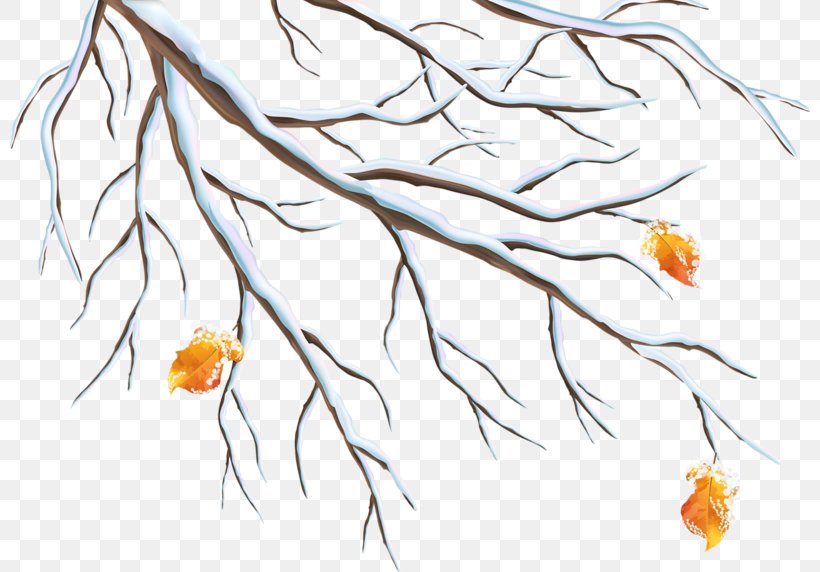 Winter Branch Clip Art, PNG, 800x572px, Winter, Area, Art, Branch, Drawing Download Free