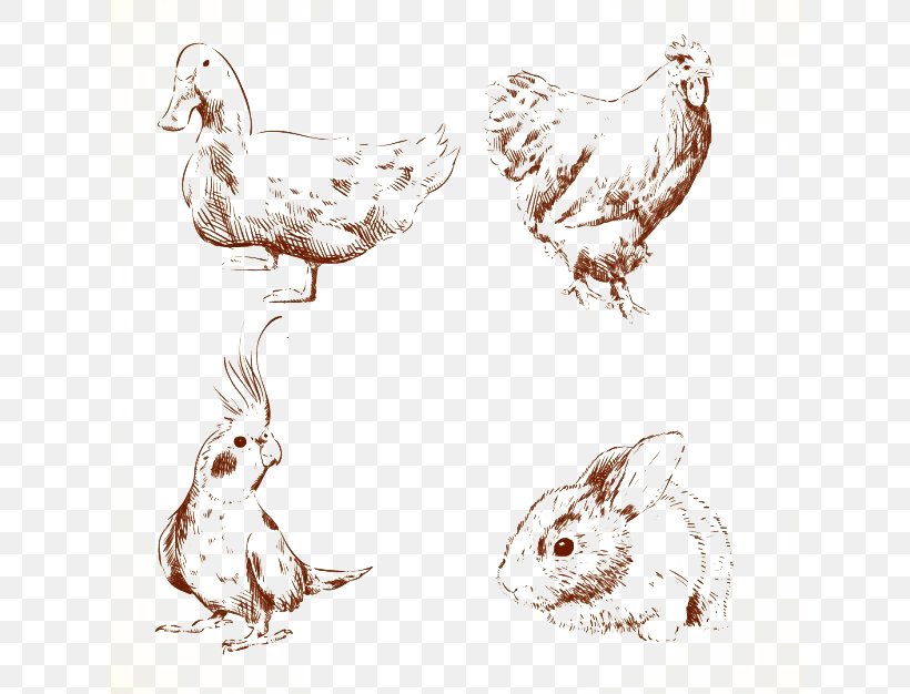 Duck Chicken Drawing Euclidean Vector, PNG, 626x626px, Duck, Animal, Beak, Body Jewelry, Chicken Download Free