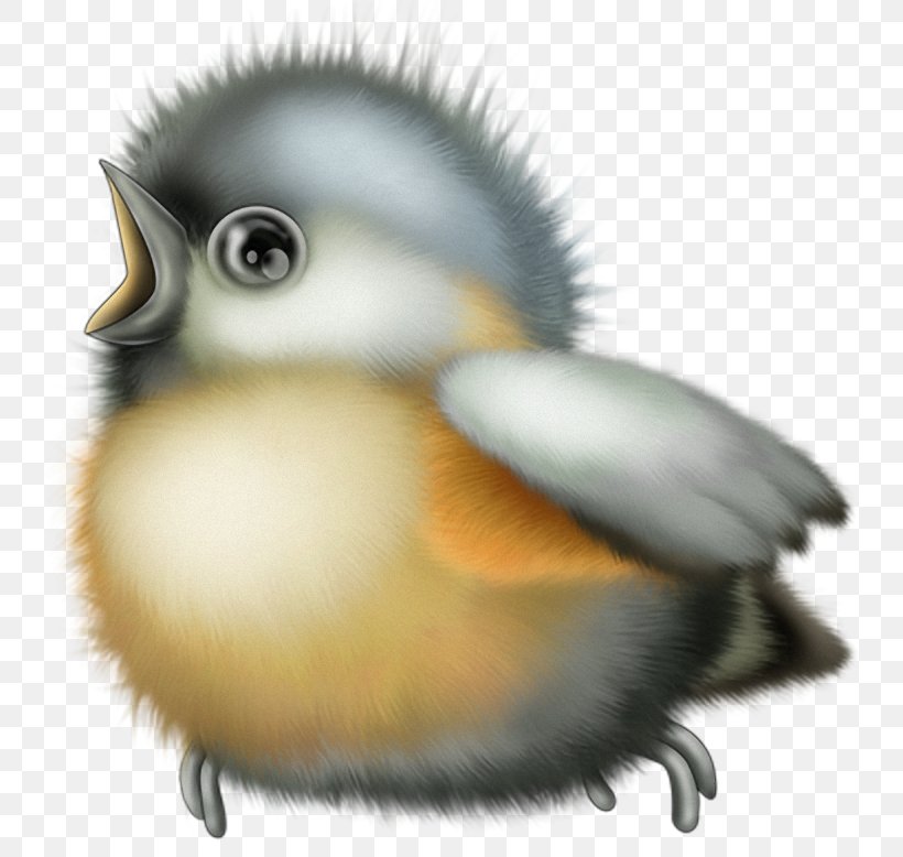 Duck Christmas Bird Count Parrot, PNG, 740x778px, Duck, Animal, Beak, Bird, Birdwatching Download Free