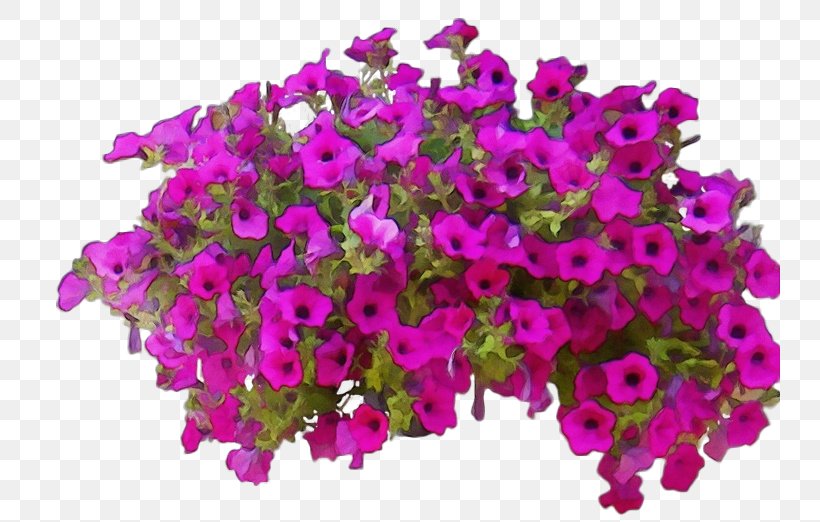 Flower Plant Magenta Pink Purple, PNG, 740x522px, Watercolor, Bougainvillea, Cut Flowers, Flower, Flowering Plant Download Free