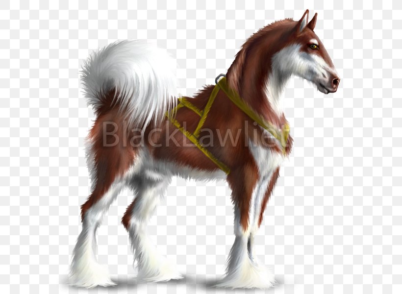 Howrse Thoroughbred American Paint Horse Alaskan Malamute Mustang, PNG, 600x600px, Howrse, Akhalteke, Alaskan Malamute, American Paint Horse, Breed Download Free