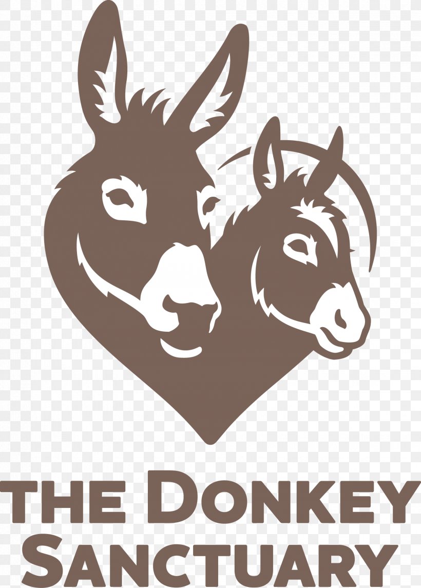 The Donkey Sanctuary Devon Horse Sidmouth Animal Sanctuary, PNG, 1646x2299px, Donkey Sanctuary, Animal, Animal Sanctuary, Animal Welfare, Black And White Download Free