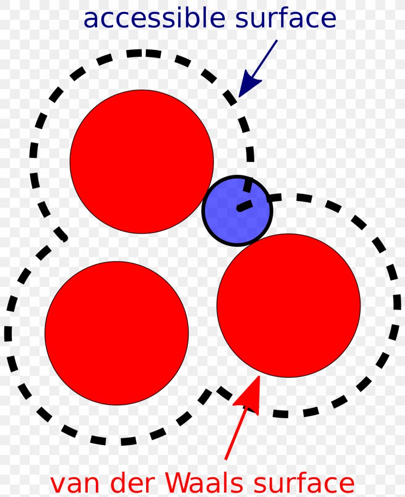 Accessible Surface Area Molecule, PNG, 1200x1472px, Area, Chemistry, Hydrophobic Effect, Mathematics, Molecule Download Free