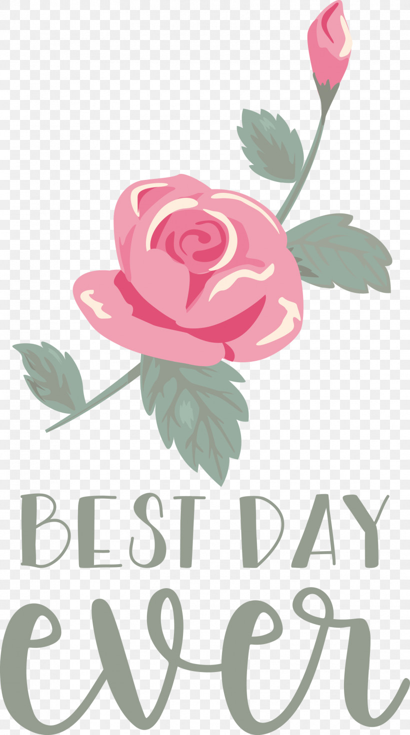 Best Day Ever Wedding, PNG, 1671x2999px, Best Day Ever, Cut Flowers, Floral Design, Flower, Garden Roses Download Free
