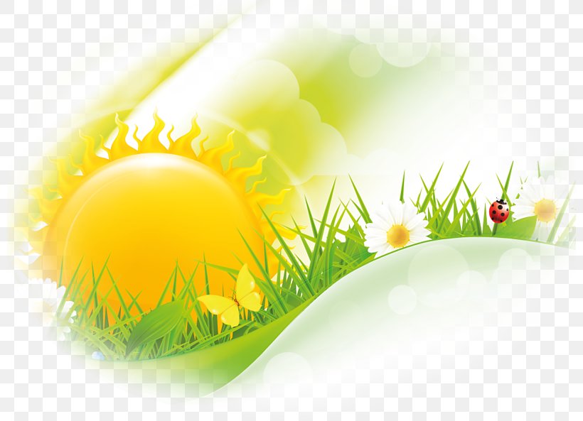 Friday Morning Wish Greeting Happiness, PNG, 800x593px, Friday, Blessing, Day, Easter Egg, Good Download Free